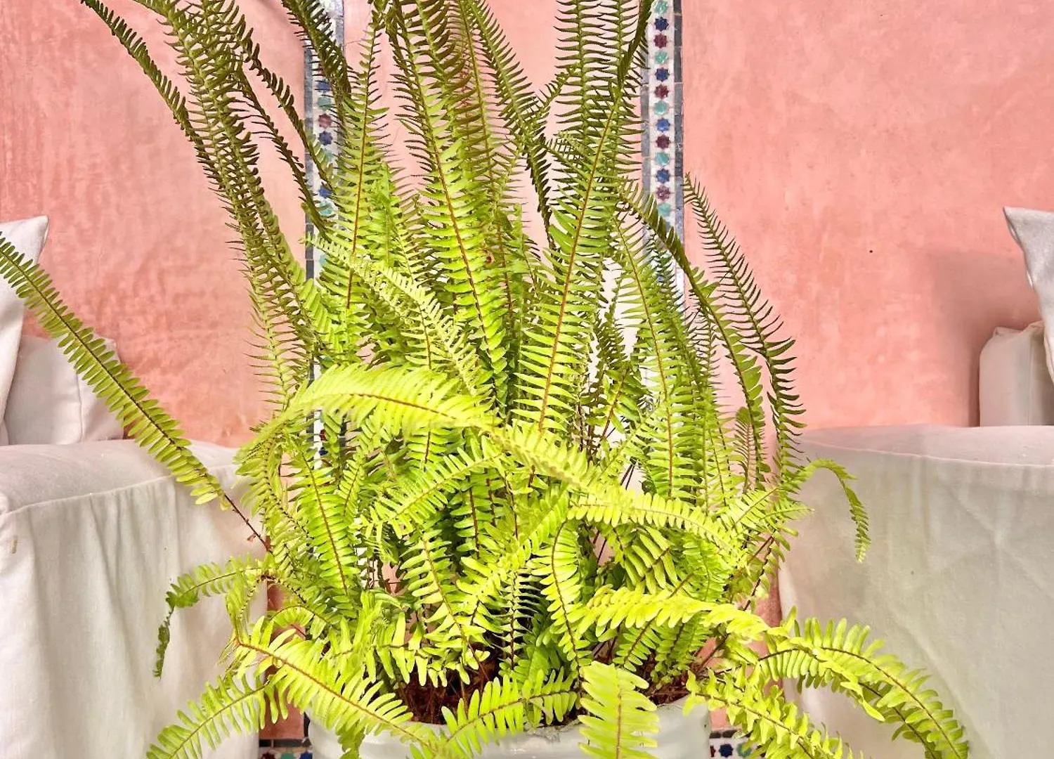***  Riad Azad & Spa Marrakesch Marokko
